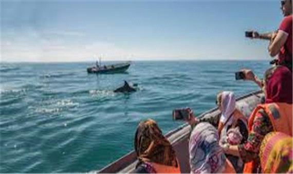 هفت رنگو روستای زیبای دلفین خلیج فارس!