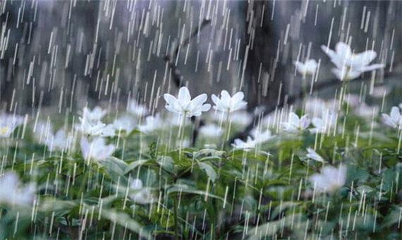 بارش باران در 29 استان کشور طی امروز و فردا