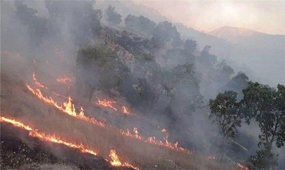 آتش‌ سوزی در جنگل ‌های «پاوه» جان یک نفر را گرفت