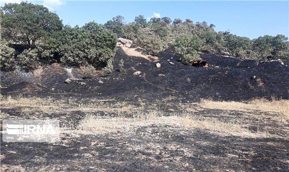 مهار آتش‌سوزی منطقه حفاظت‌شده «بوزین مرخیل» پس از هشت روز