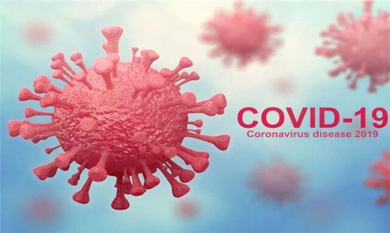 معرفی عضو جدید خانواده “کرونا ویروس‌”ها به جامعه جهانی