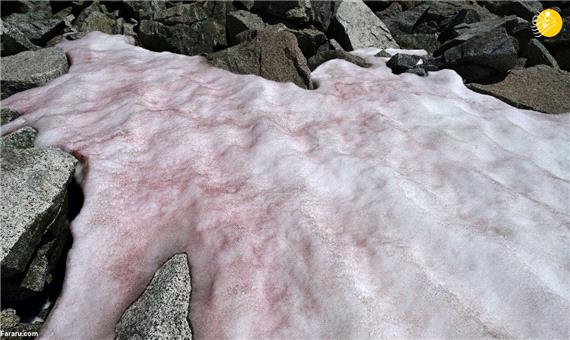 پدیدار شدن یخ صورتی در کوه‌های آلپ