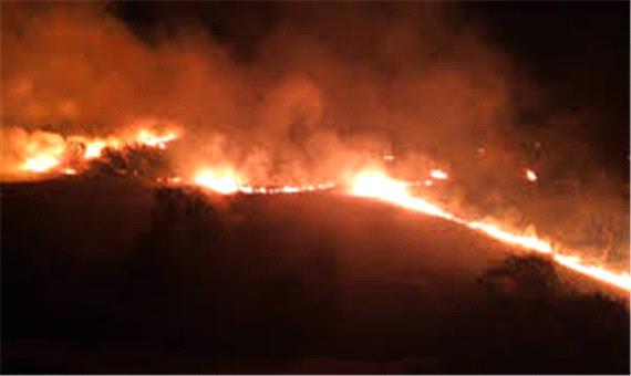 آتش‌سوزی در کوه‌های گیسکان بوشهر