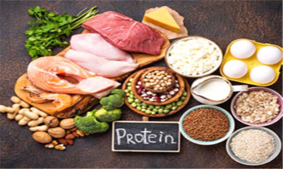 آیا رژیم های غذایی با پروتئین بالا برای کاهش وزن بی خطر هستند؟