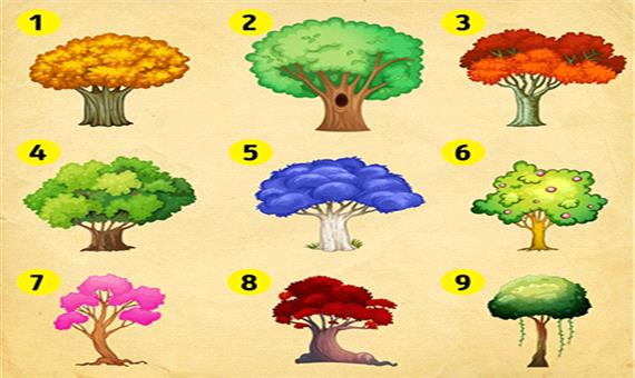 روانشناسی/ با انتخاب یک درخت شخصیت خود را بشناسید