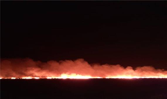 آتش سوزی پارک ملی بمو در فارس در کمتر از 3 ساعت کنترل شد