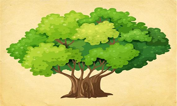 با انتخاب یک درخت شخصیت خود را بشناسید!