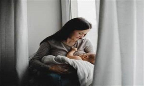 نسخه بوعلی سینا برای افزایش شیر مادر
