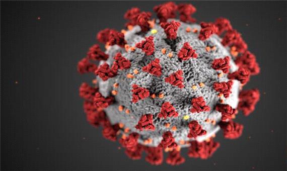 کروناویروس سلولهای ایمنی اصلی را سرکوب می کند!