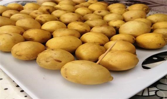 صفر تا صد تهیه لیمو عمانی خونگی