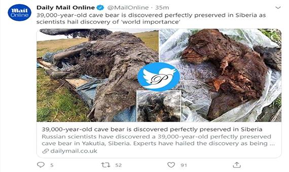 گوناگون/ کشف خرس 39 هزار ساله در سیبری!