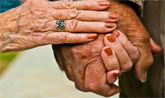 عشق پیری سهم 8 درصد از ازدواج‌های سال را گذشته دارد