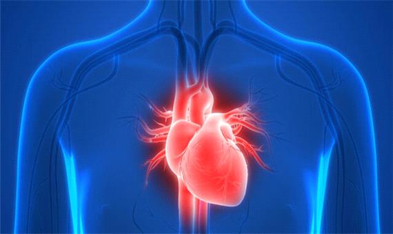 نقص ژنتیکی قلب ارتباطی به کرونا ندارد