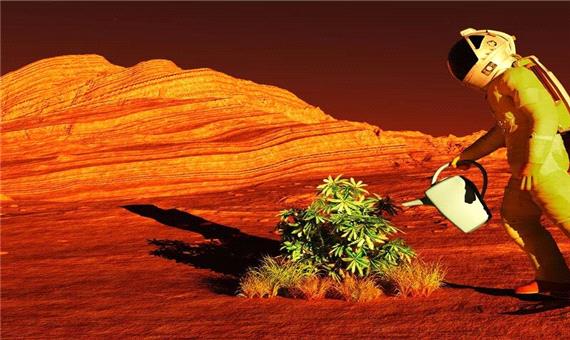 آیا کاشتن سبزیجات در مریخ ممکن است؟!