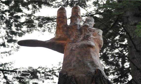 هنرمندی که از یک درخت شکسته، دستی رو به آسمان ساخت!