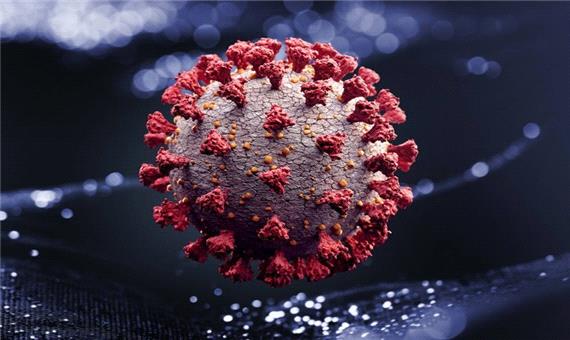 تکامل ویروس کرونا می‌تواند واکسن‌ کووید 19 را ضعیف کند