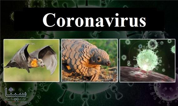 پژوهشگران روسیه: ویروس کرونا توسط انسان ساخته نشده است