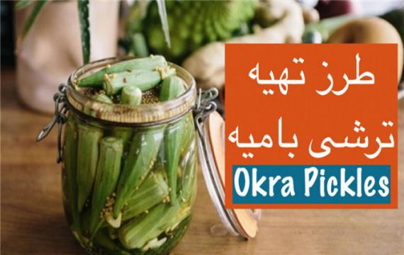 آموزش ترشی بامیه، خوشمزه ترین ترشی ایرانی