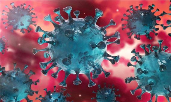 کرونای ایرانی در راه است/ واکسن‌های کووید-19 در برابر این نوع ویروس مقاوم‌اند؟/ ویدئو