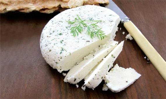 طرز تهیه خوشمزه ترین پنیر خانگی با آبلیمو به ساده‌ترین روش