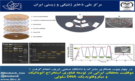 موفقیت محققان ایرانی؛ فناوری استخراج اتوماتیک و میکروفلویدیک DNA سلولی توسعه یافت