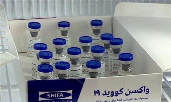 نتایج مرحله اول تست انسانی واکسن کوو ایران برکت بسیار امیدوارکننده است