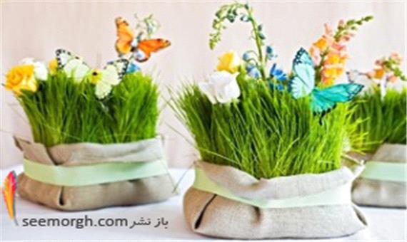 سبزه عید را با گل های طبیعی تزیین کنید