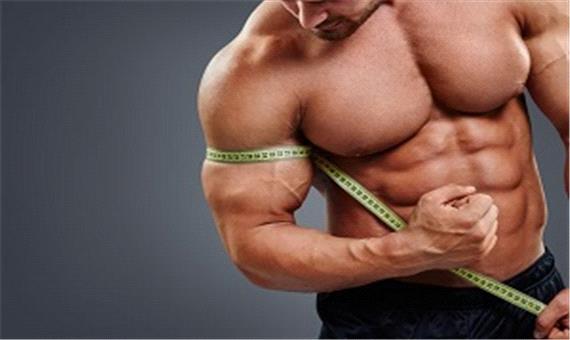 افزایش وزن و عضله سازی با سالمترین روش ها، از مصرف کالری تا مصرف پروتئین
