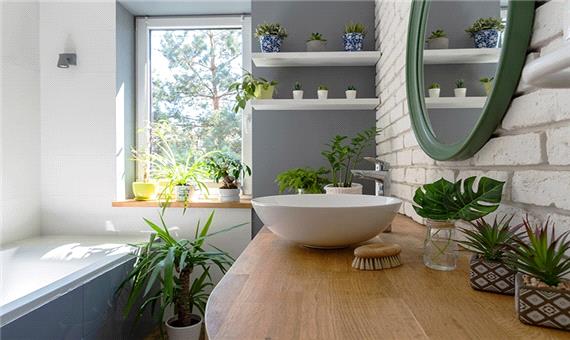 گیاهان مخصوص سرویس بهداشتی و حمام چه ویژگی هایی دارند؟