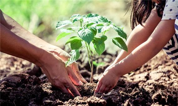 آشنایی با روش «باغبانی‌ درمانی» برای تقویت سلامت روان خانواده