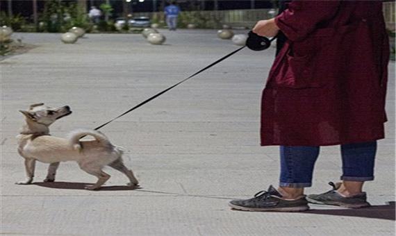 سگ گردانی در محل بازی کودکان در بوستان های پایتخت ممنوع شد