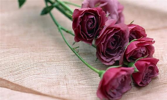 23 عکس گل عشق و عاشقانه جدید و زیبا، برای پروفایل