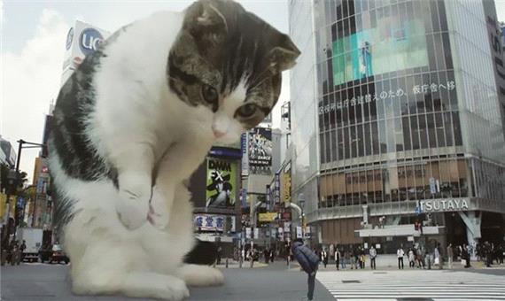 تبلیغات سینمایی ژاپنی ها با گربه غول پیکر!