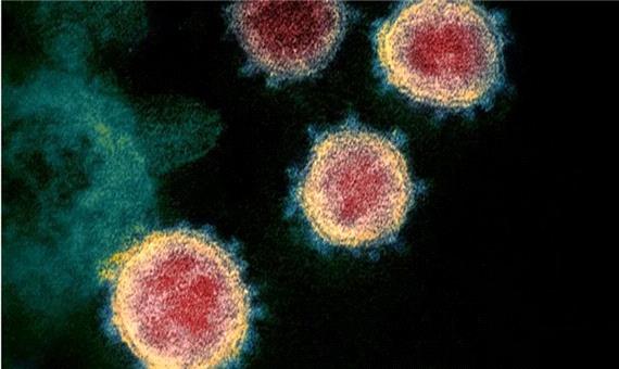 شناسایی ویروس کرونای جدید و خطرناک ژاپنی به نام R.1 در خانه سالمندان کنتاکی آمریکا