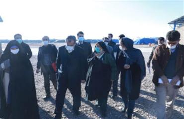 معاون رئیس جمهور از یک واحد دامداری در شهرستان بویین زهرا بازدید کرد
