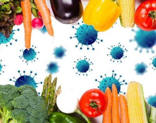 کرونا/ تغذیه سالم در پیشگیری از ابتلا به کرونا اهمیت دارد