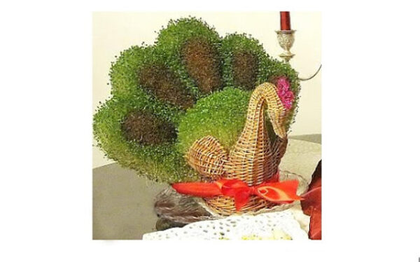 کاشت سبزه به شکل طاووس