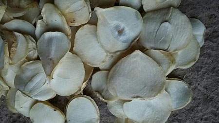 طرز خشک کردن موسیر
