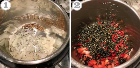 آریا بانو