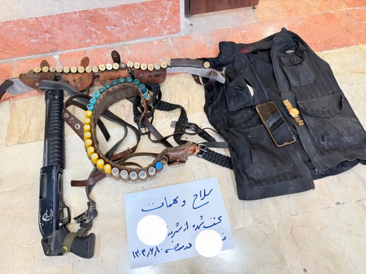 آریا بانو