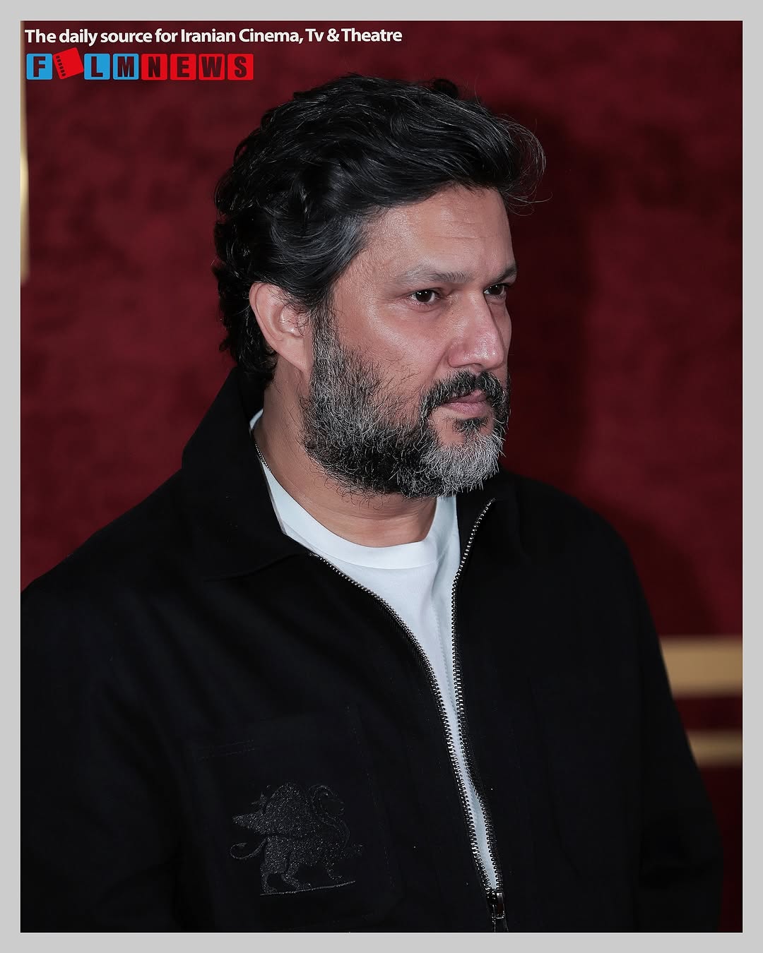 آریا بانو