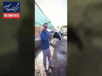 دامپزشکی: روند مهار تب برفکی ادامه دارد