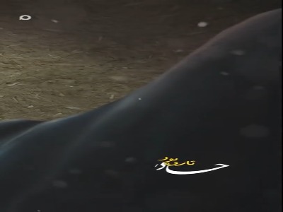 استوری/ تار و پود چادر تو، تار و پود زندگیمه