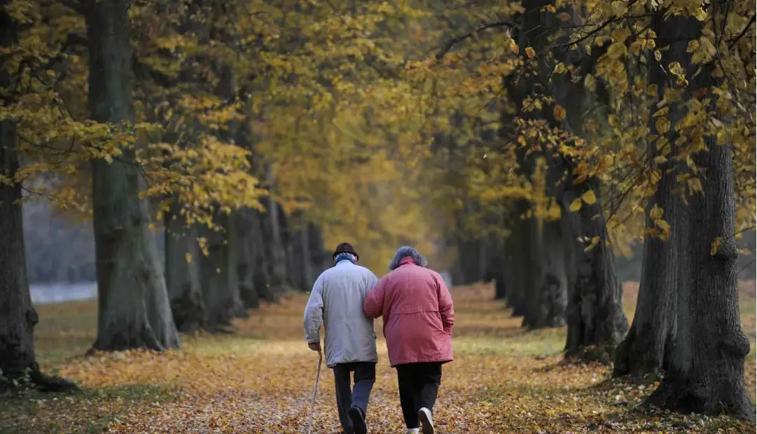جادوی ۳ هزار قدم: پیاده‌روی روزانه جلوی پیشرفت آلزایمر را می‌گیرد
