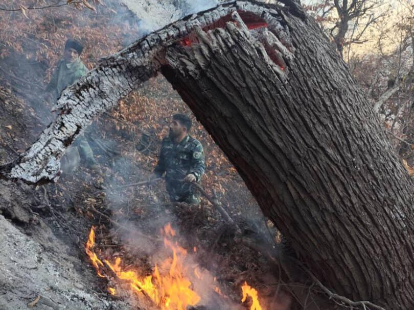 آتش دوباره به جانِ جنگل چالوس افتاد