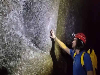 کشف بزرگترین کلونی عنکبوت‌ها با بیش از ۱۱۱ هزار تار