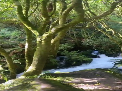 چشمه‌های آبی در پوتارورو ؛ شاهکار منحصر به فرد طبیعت