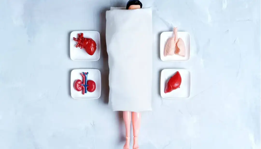 رویای جوانی ابدی: آیا پیوند اعضا انسان را جوان می‌کند؟