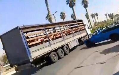 جابجایی عجیب دانش‌آموزان یک مدرسه با کامیون!