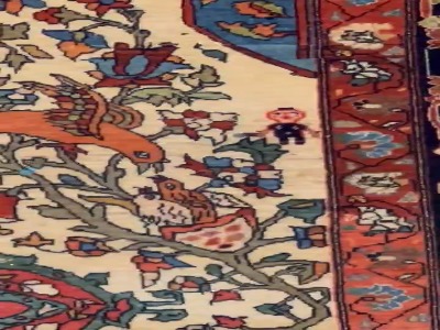 تفسیر جالب طرح بچه وسط نقشه قالی !